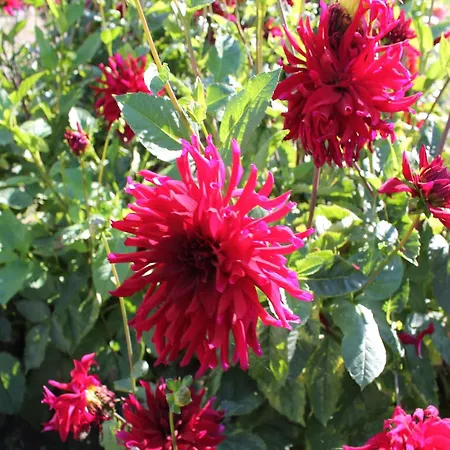 公寓 Charming In With Parking