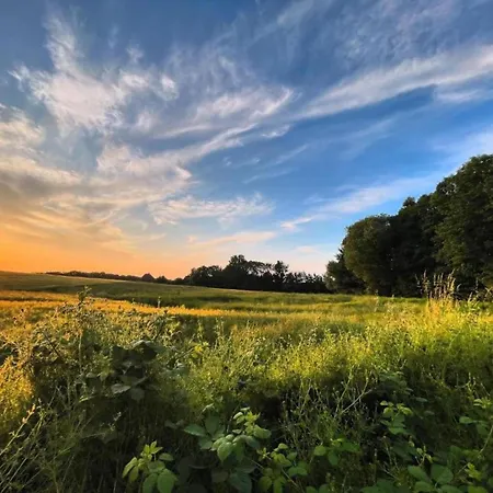 公寓 Charming In With Parking Ostseebad Kühlungsborn