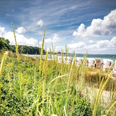 Charming In With Parking Appartement