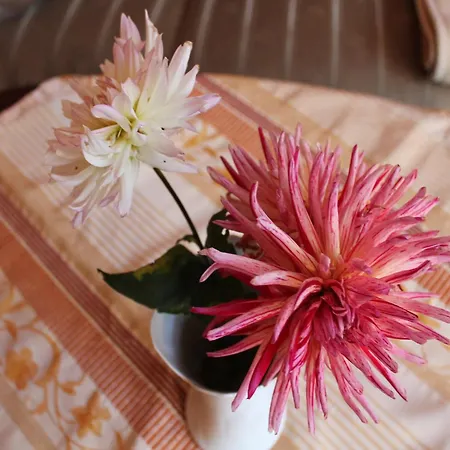 Appartement Charming In With Parking