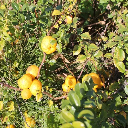 Charming In With Parking 公寓 Ostseebad Kühlungsborn