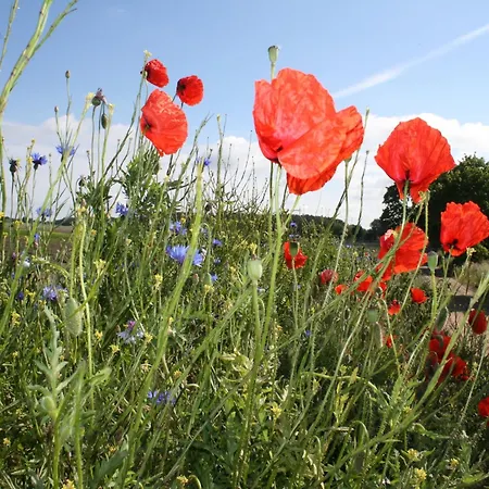 Charming In With Parking *