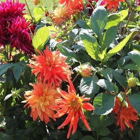 Appartement Charming In With Parking