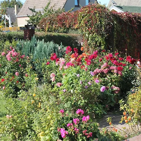 Charming In With Parking *